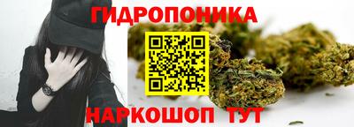 стафф Моздок