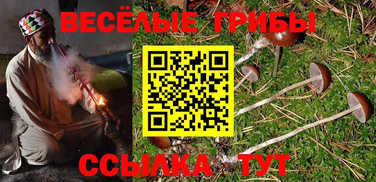 Тула  Псилоцибиновые грибы мицелий  закладки  Псилоцибиновые грибы Psilocybe  Вход с VPN 