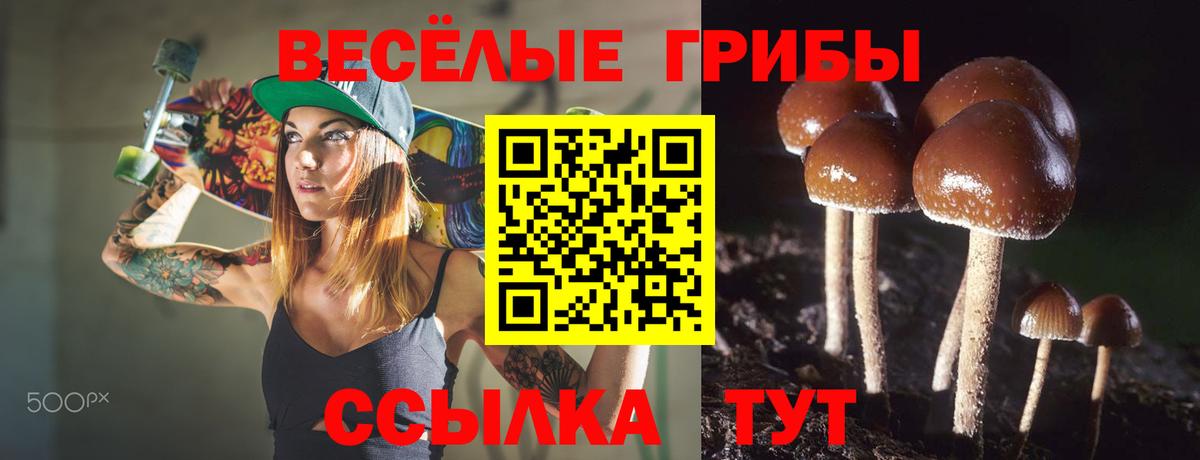 Псилоцибиновые грибы ЛСД Тула